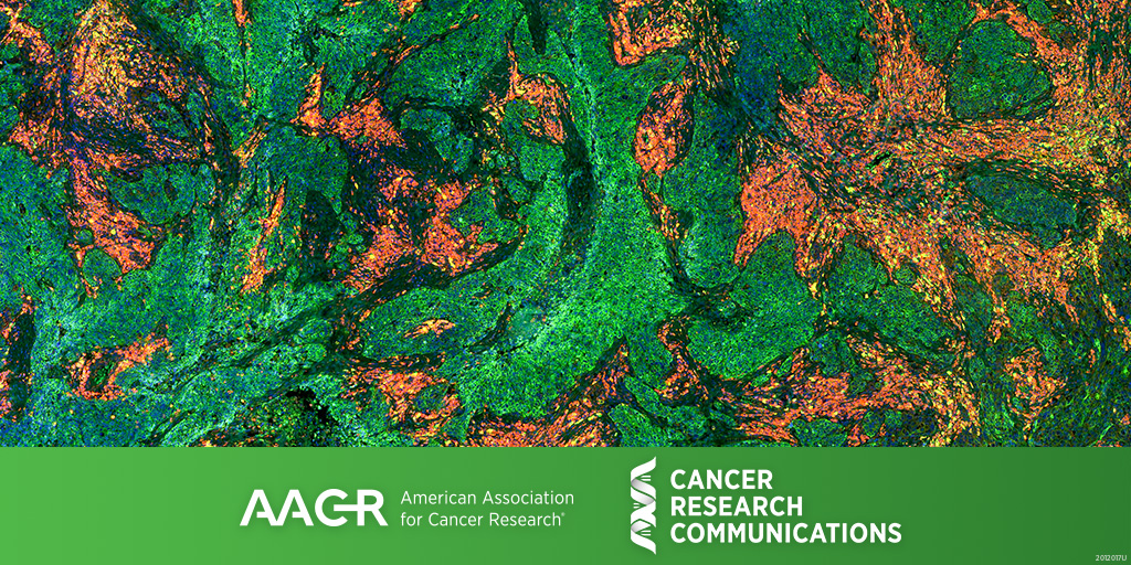 Cancer Research Communications tweet media