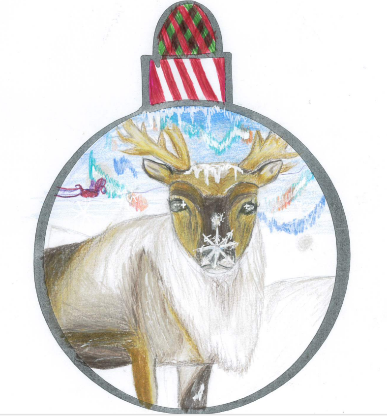NDEKellyDavies's tweet photo. Fleur @croesyschool has won our KS3 bauble competition.  Congratulations Fleur 🎄🥇 https://t.co/CLcXXv36Bs