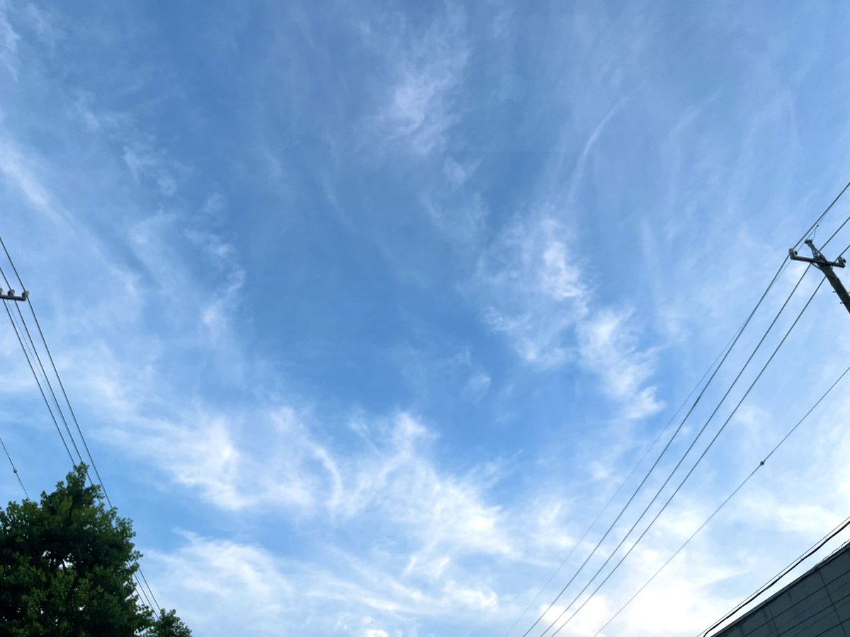さて、ここも作ってから暫く時間置いたから、もうフォロワーさん集めしてもいいかなぁ？？