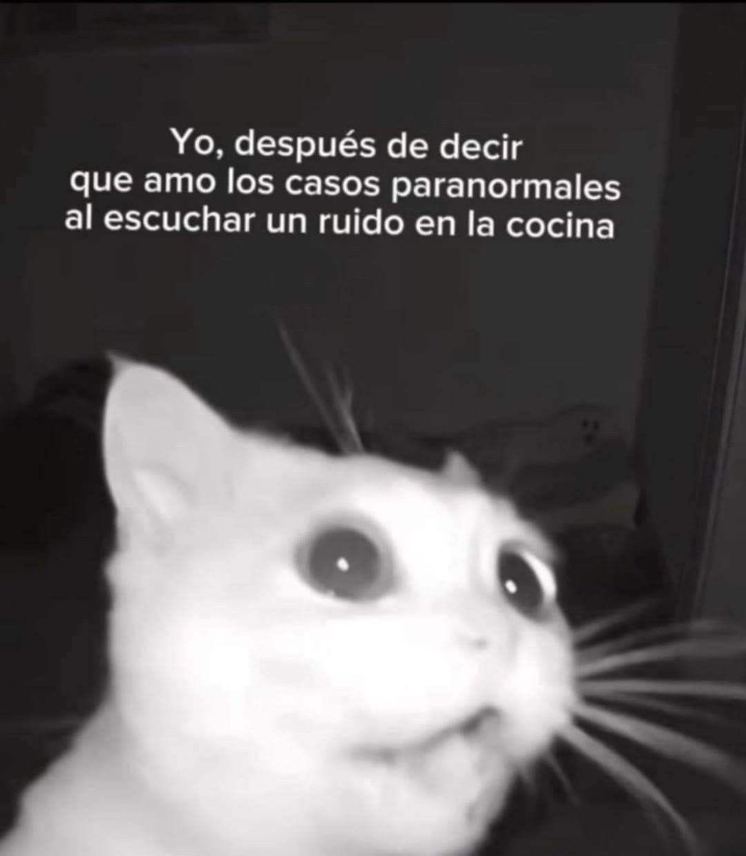 Gatitos Que Curan Tu Depresion (@gatitodepresion) on Twitter photo 