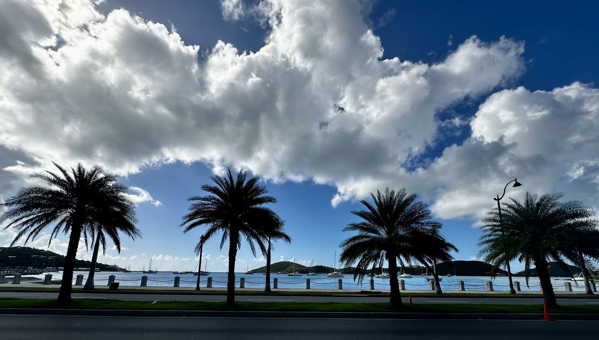 TimAnzenberger's tweet image. Had the privilege of arguing before the Third Circuit this morning, as it sat in the U.S. Virgin Islands. Amazing view from the courthouse steps. #AppellatePlaces