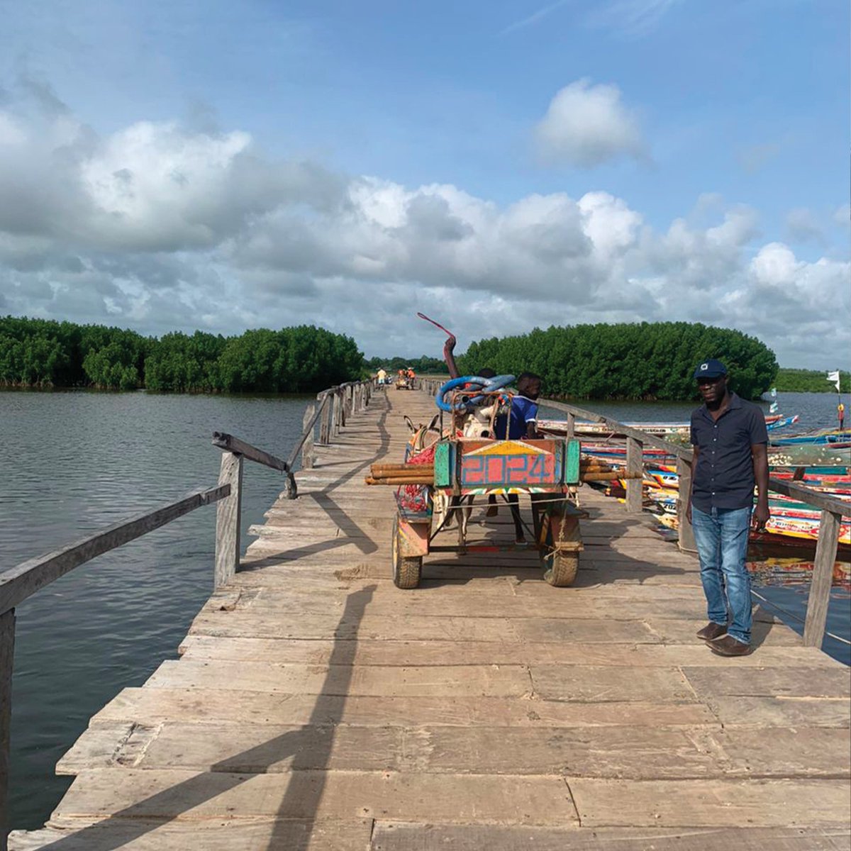 LaboratoireTfg's tweet photo. Le Laboratoire TFG a réalisé des études géotechniques pour la réhabilitation de la passerelle piétonne de Sokone, un projet clé du Programme Spécial de Désenclavement (PSD) pour renforcer l'accessibilité rurale et la sécurité. 🌍 #Géotechnique #InfrastructureDurable #TFG #PSD https://t.co/TXMUvDM8rB