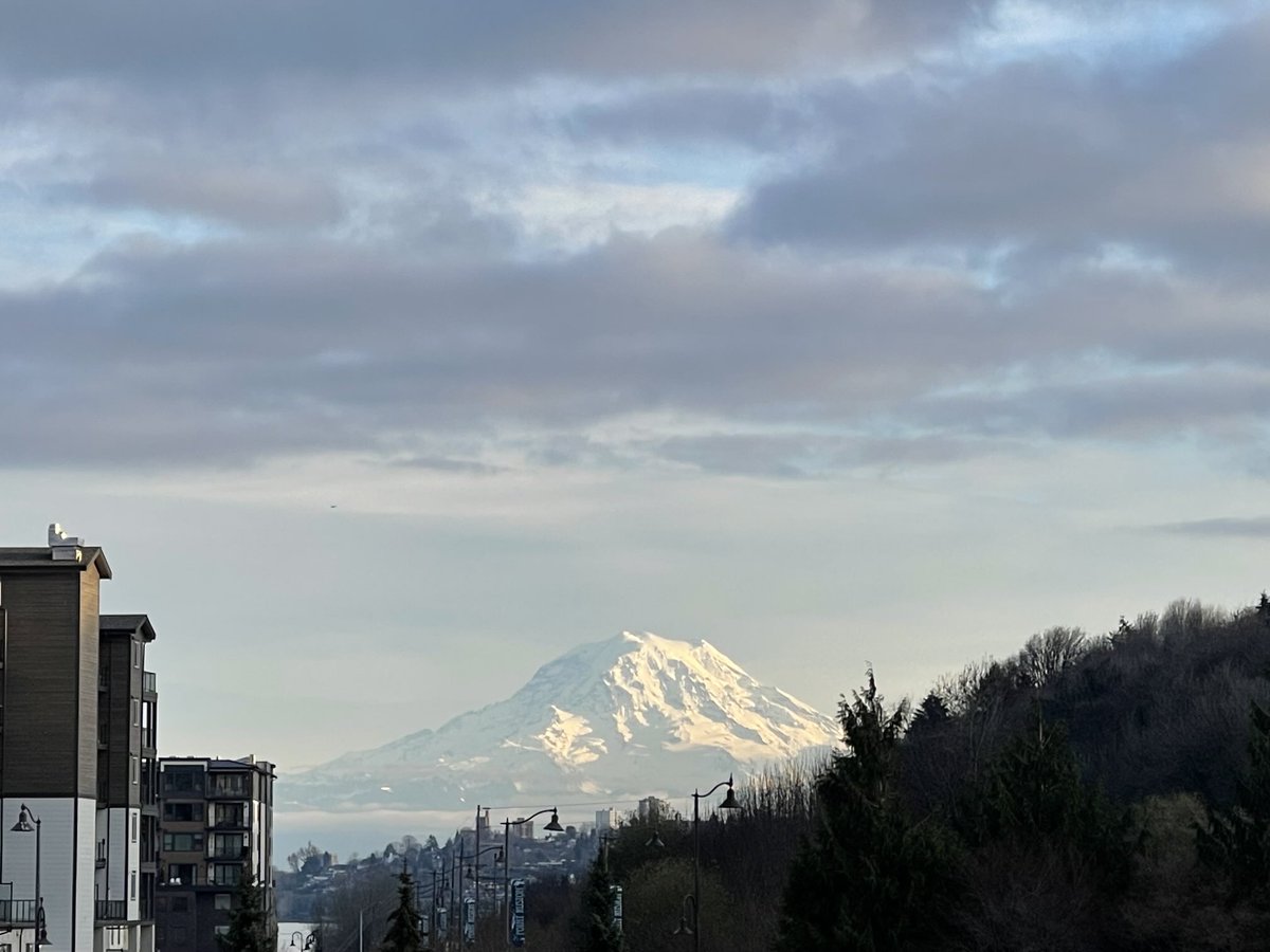 Nancy Sarnoff tweet media