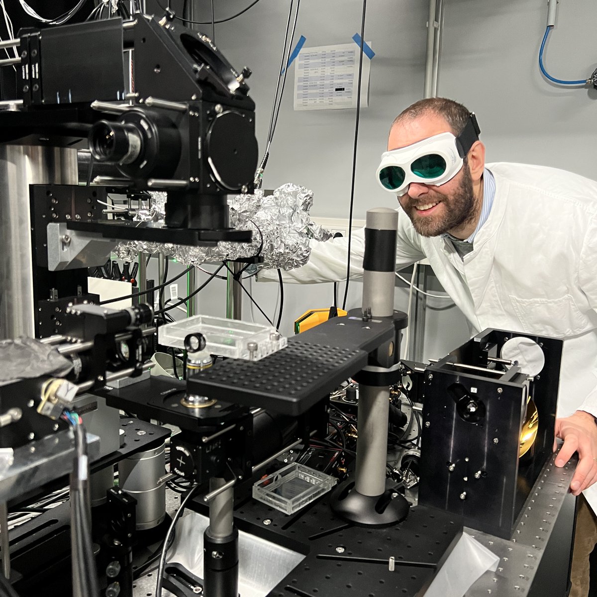 Pushing the limits: Find out about recent developments in multi-photon microscopy in a new review by the head of our Imaging Facility @drclapoli: 
analyticalscience.wiley.com/content/articl…