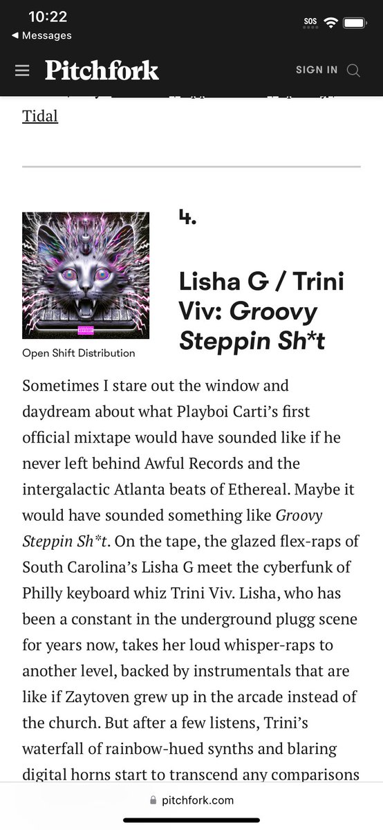 LISHA G ⋆˚ 🏰 ˖° tweet media