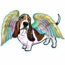 ShennyWalrond's tweet photo. @basset_bella @AngelBellaBikes Bootiful Angel Bella Watching over us all 🐾 🌈✨🎅🎄❤️
#glitterwings https://t.co/HMWu1wFYkG
