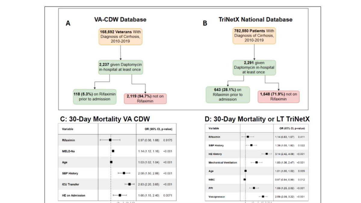 #Rifaximin assoc w ⬆️daptomycin resistance <a href="/Nature/">nature</a> 
(pubmed.ncbi.nlm.nih.gov/39443798/)
BUT...what about real-world outcomes?
🔑in 2 US National #cirrhosis cohorts on dapto+/- rifaximin, Rifaximin had
🔑No effect on mortality/LT
🔑results🟰in #Veterans/@TriNetX 
✅medrxiv.org/content/10.110…