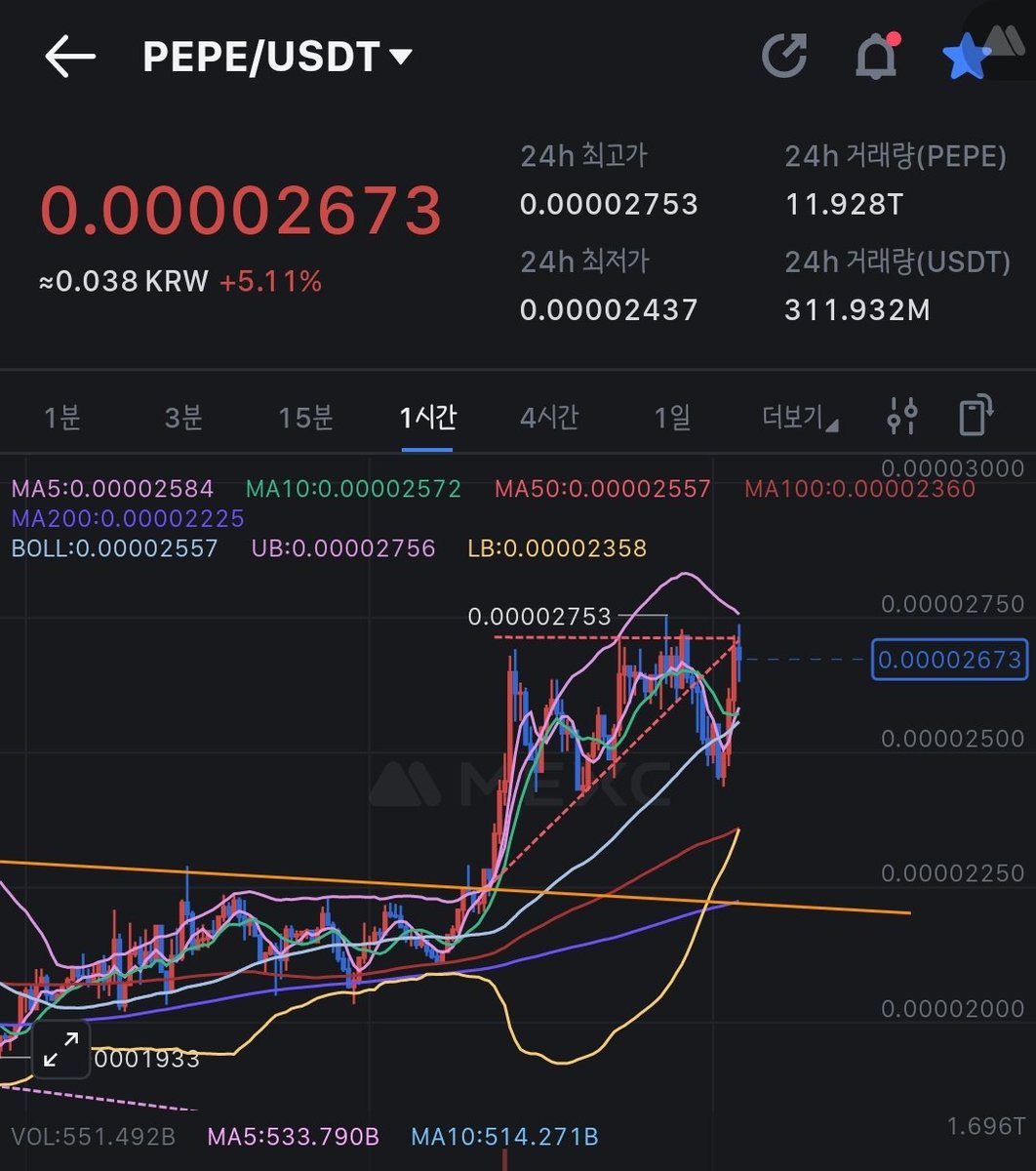$PEPE is Turning back to Flag pattern position now