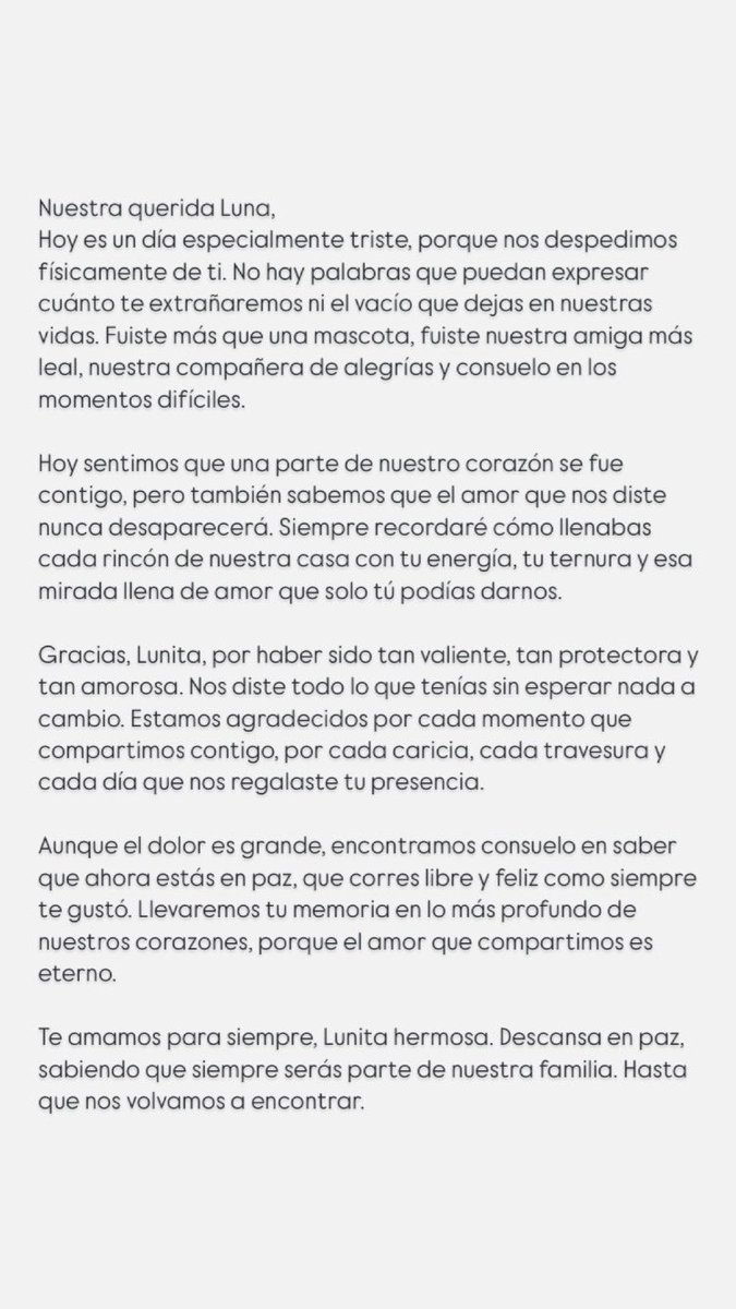 TereYGA's tweet photo. Vuela alto precioso ángel 🤍🐾
Te echaré de menos 🥺 https://t.co/gE2rVGXz0M