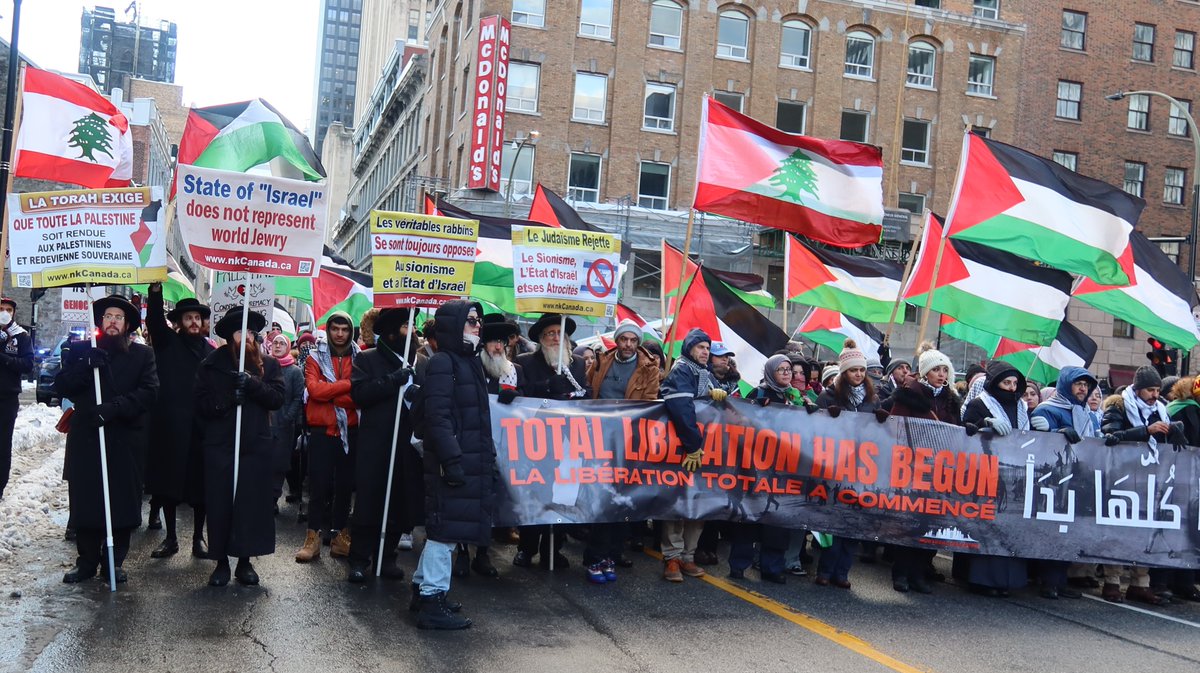 NetureiKarta's tweet photo. Standing with Palestine at Notre Dame Basilica in Montreal on Sunday, December 8, 2024, during the weekly protest in Montreal. #FreePalestine #MontrealProtest https://t.co/OjzNeWlZ6Y