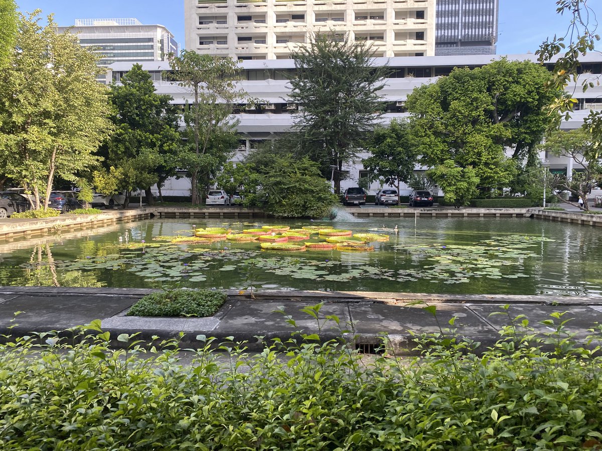 molmicro86's tweet photo. Great learning ! Thanks Technical University of Denmark and Chulalongkorn University, Thailand 👍 https://t.co/ShIKzhsZpU