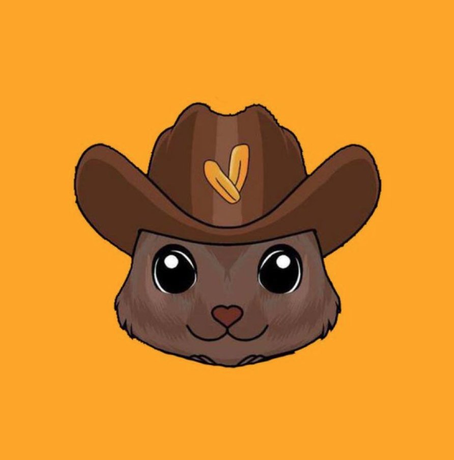 CryptoEim tweet media