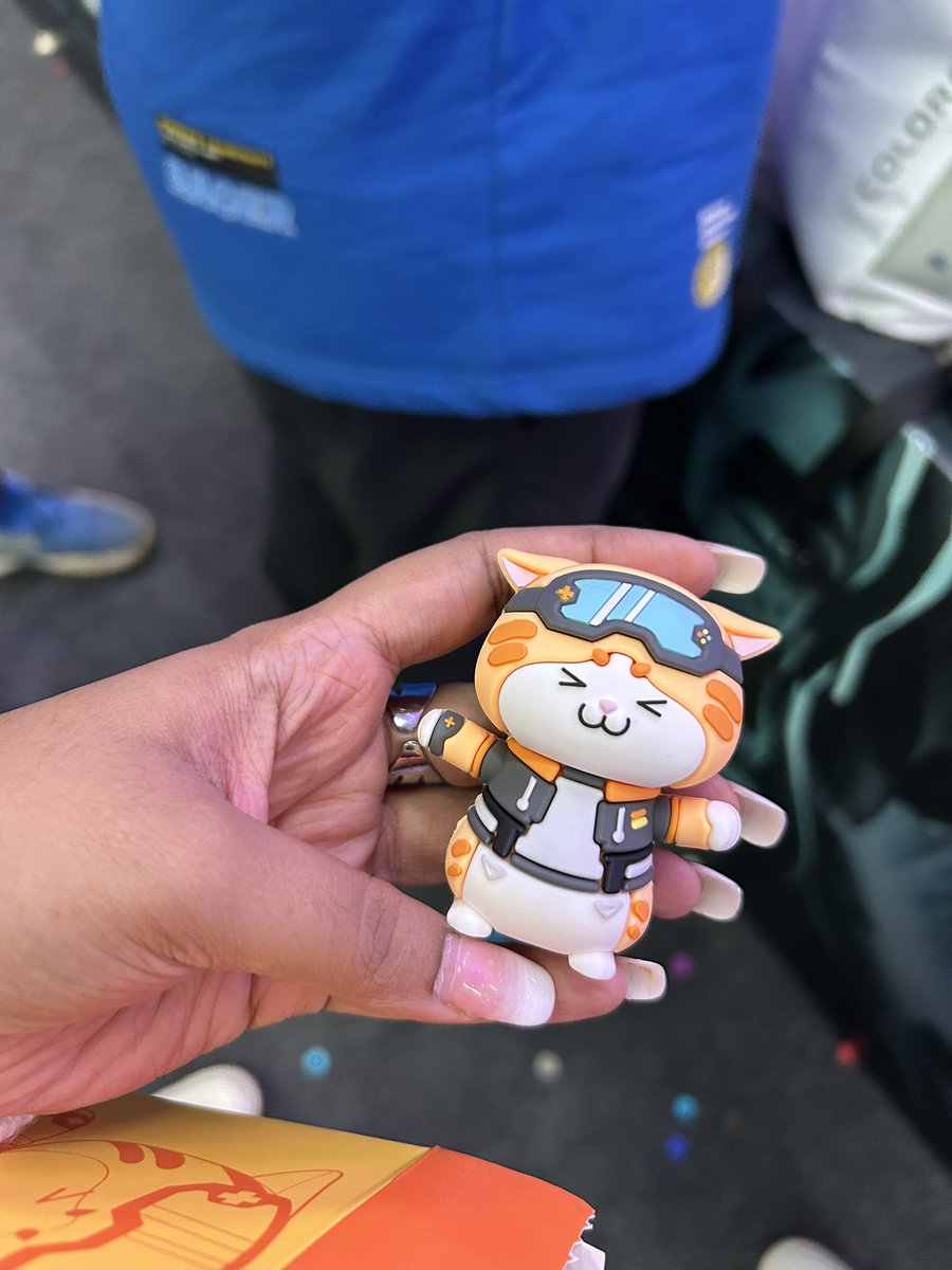 Colorful’s meowfire is so cute 🐱🔥