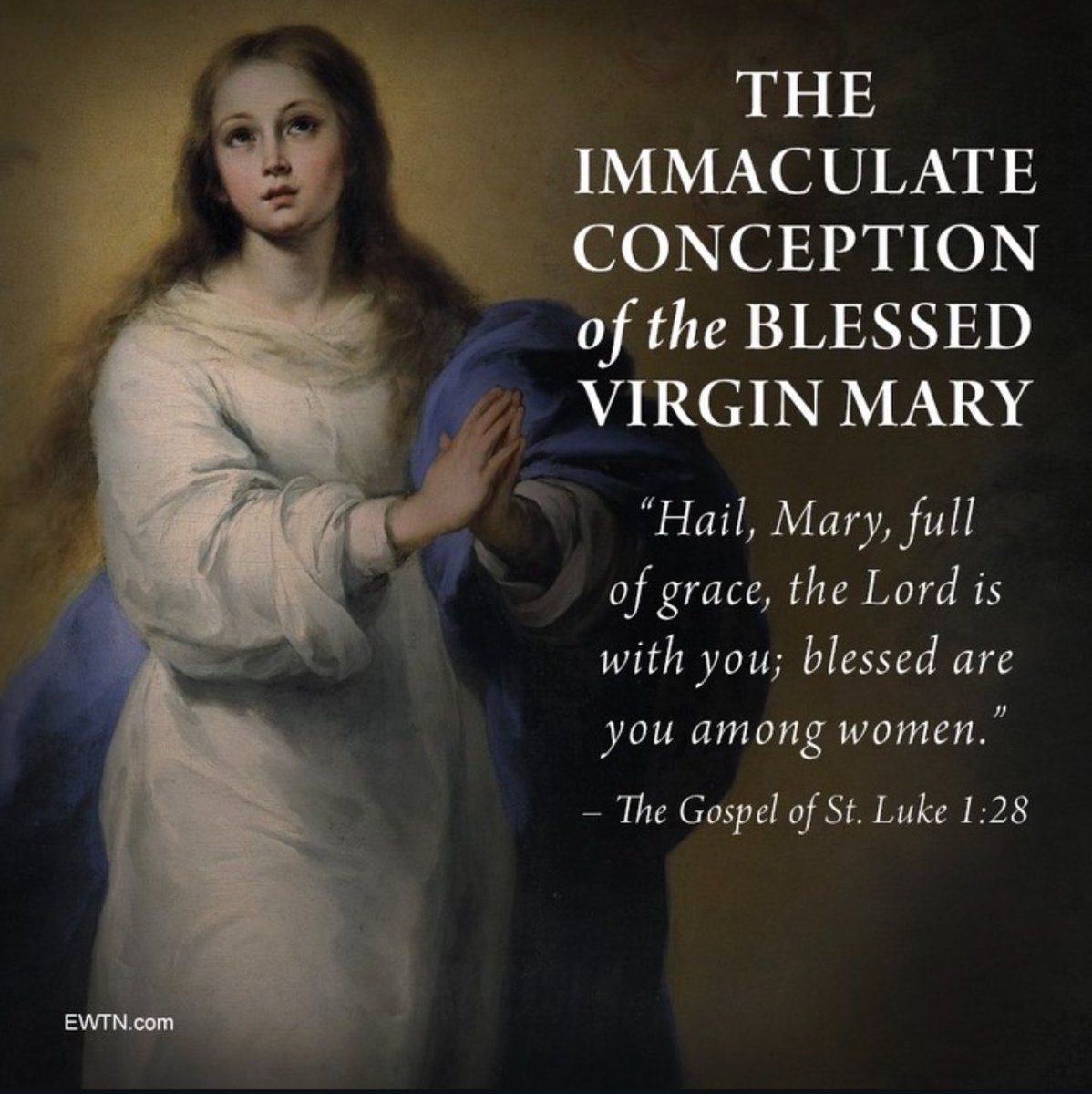 AveMariaLaw's tweet image. Blessed #ImmaculateConception!
