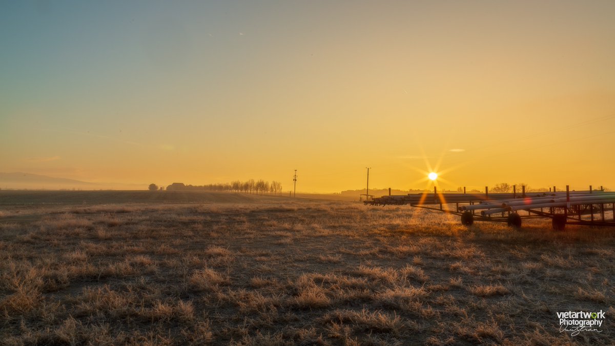 duymongco's tweet photo. The start of the week brings fresh energy and inspiration. What’s better than beginning your day with stunning images of the countryside, where sunlight pierces through the morning mist, creating a magical and inspiring scene?

#DuyMongCo #duymongco #DMCP https://t.co/uS6w1T7RGB
