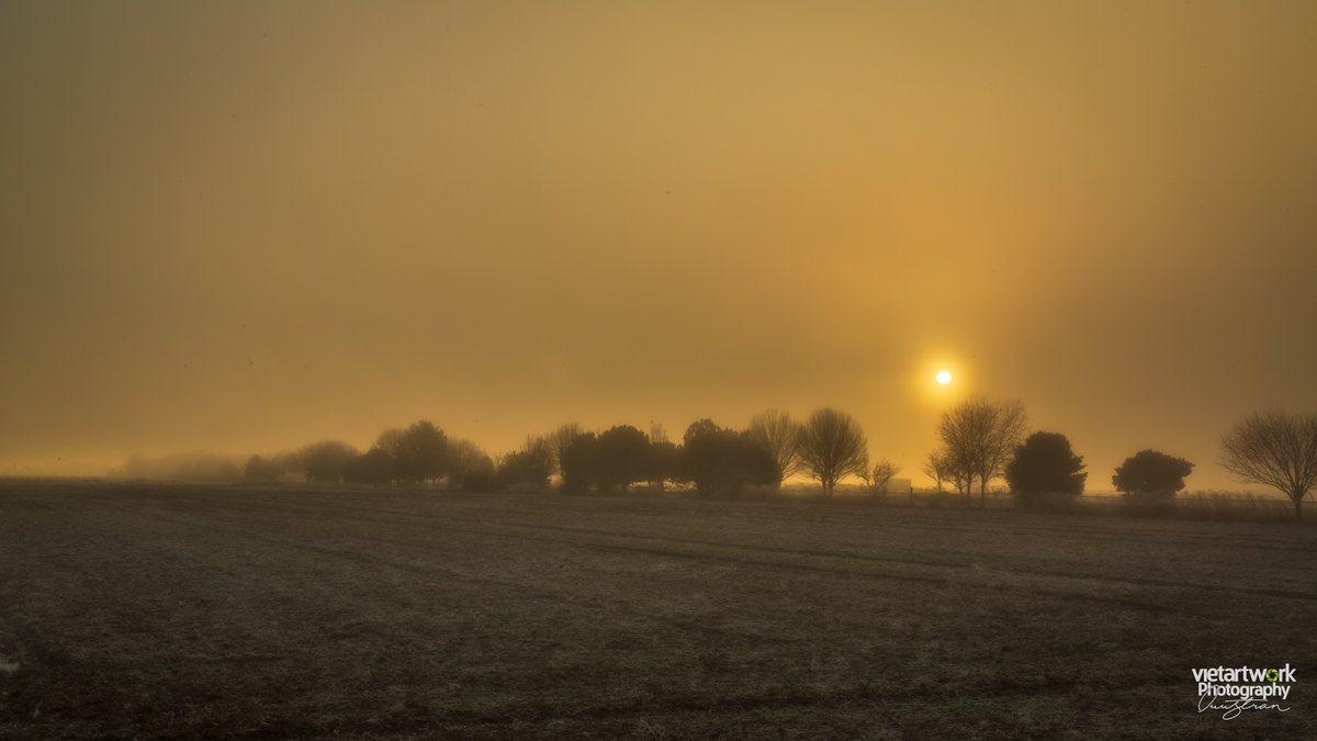 duymongco's tweet photo. The start of the week brings fresh energy and inspiration. What’s better than beginning your day with stunning images of the countryside, where sunlight pierces through the morning mist, creating a magical and inspiring scene?

#DuyMongCo #duymongco #DMCP https://t.co/uS6w1T7RGB