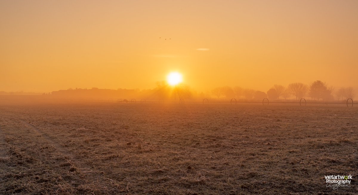 duymongco's tweet photo. The start of the week brings fresh energy and inspiration. What’s better than beginning your day with stunning images of the countryside, where sunlight pierces through the morning mist, creating a magical and inspiring scene?

#DuyMongCo #duymongco #DMCP https://t.co/uS6w1T7RGB