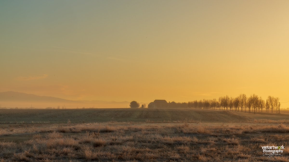 duymongco's tweet photo. The start of the week brings fresh energy and inspiration. What’s better than beginning your day with stunning images of the countryside, where sunlight pierces through the morning mist, creating a magical and inspiring scene?

#DuyMongCo #duymongco #DMCP https://t.co/uS6w1T7RGB