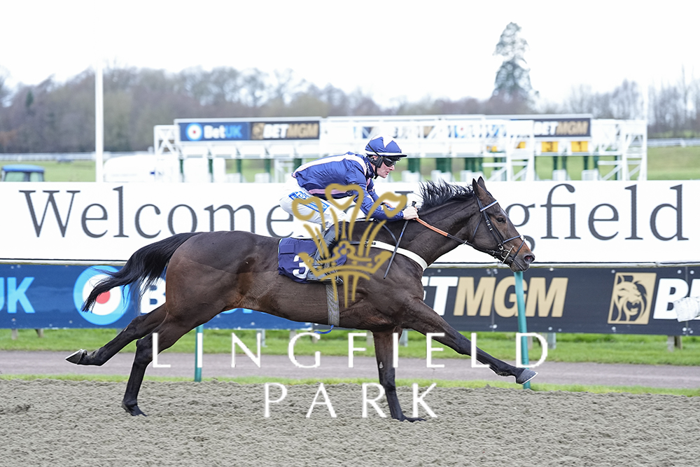 Lingfield Park tweet media
