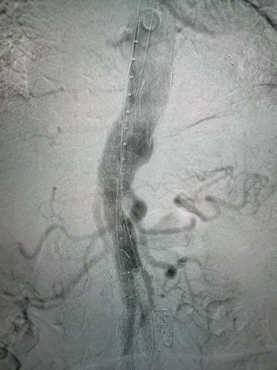 Dr Michael Wilderman tweet media