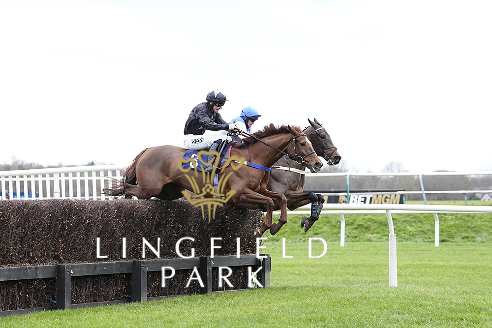 Lingfield Park tweet media