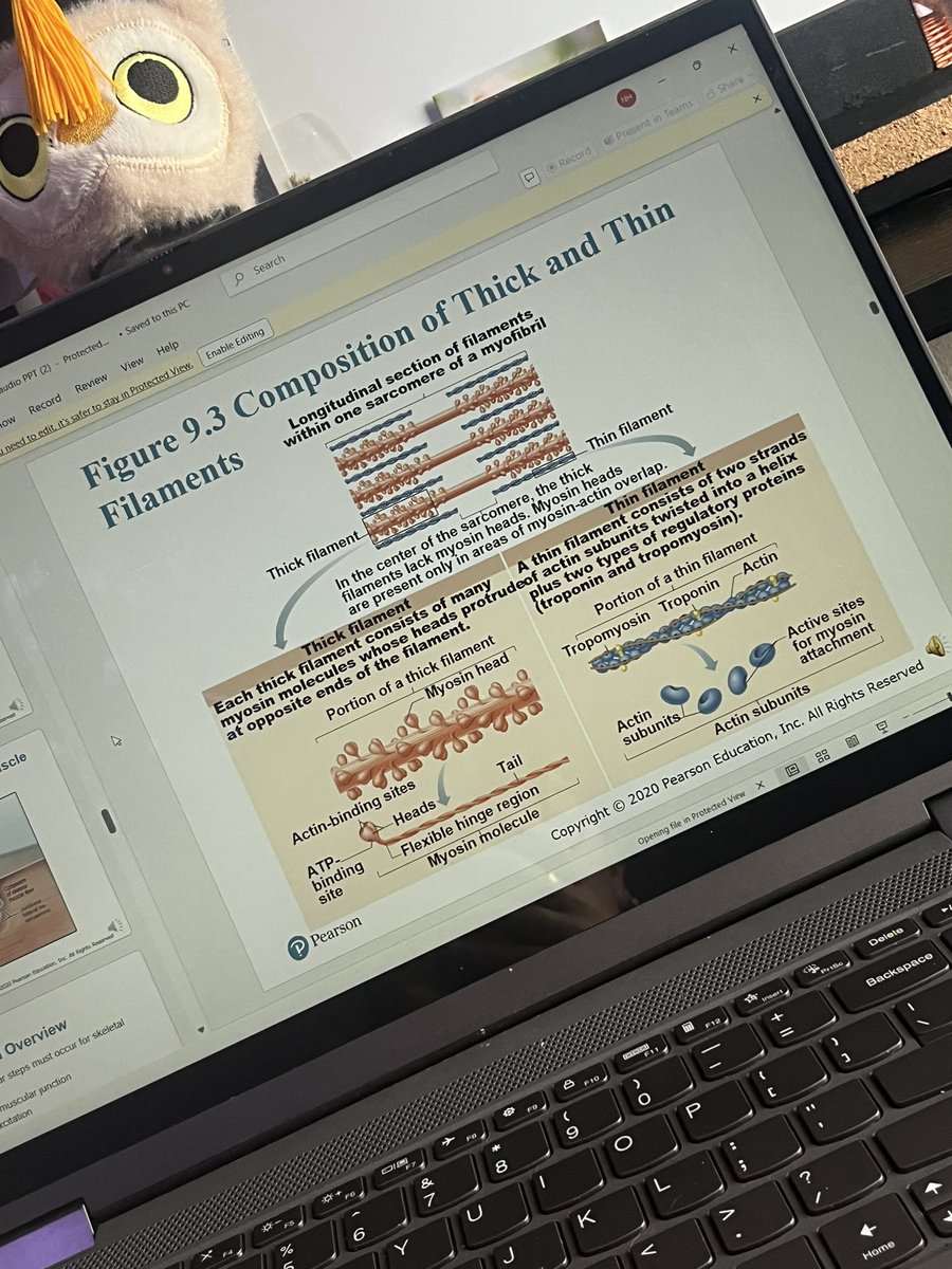 I HATE FINALS WTF DOES THIS SHIT EVEN MEANN⁉️⁉️