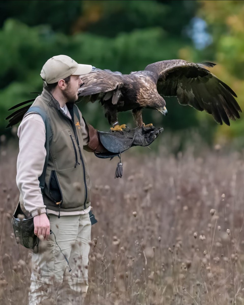Hawk Conservancy Trust tweet media