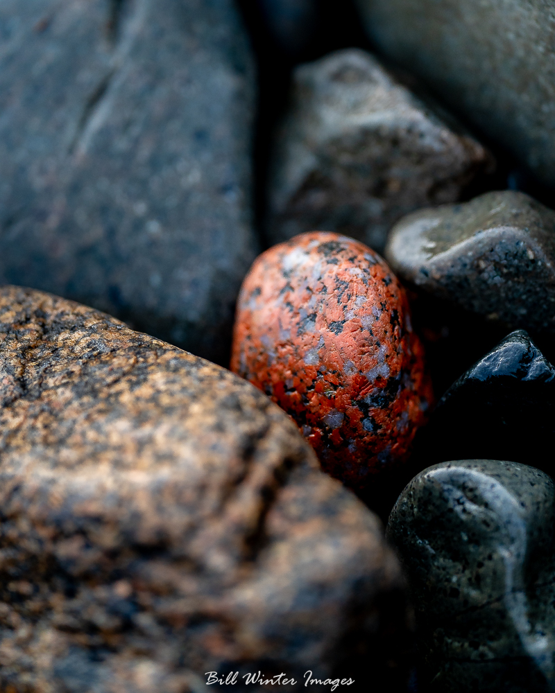 billxp845's tweet image. Searching For Images
Wow I Found A Hidden Gem
Out On Boulder Beach
.⁠
.⁠
#haiku #sonyalpha #alphacollective #optoutside #createnomatterwhat #bhcreators #sonycreators #ngphotographerchallenge #acadianationalpark