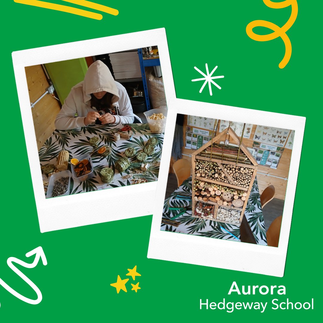 The_AuroraGroup's tweet photo. This term, Aurora Hedgeway School in Bristol launched the Hedgehog Friendly Campus project—a hands-on initiative to protect hedgehogs and promote wildlife on school grounds and within the local community.  

👉 https://t.co/w6dCMRASM6

@hogfriendly @hedgehogsociety #HogFriendly https://t.co/P3r6kntz41