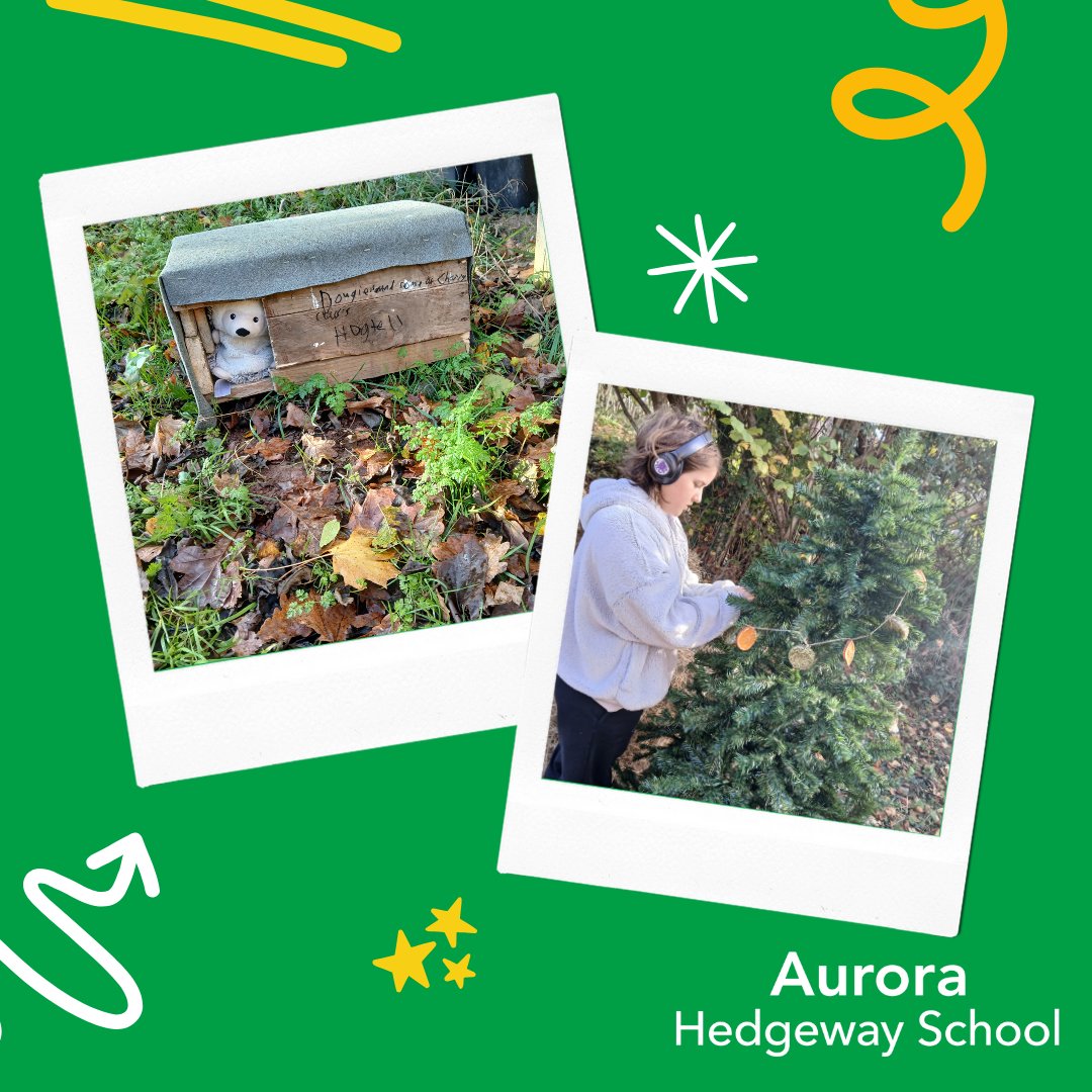 The_AuroraGroup's tweet photo. This term, Aurora Hedgeway School in Bristol launched the Hedgehog Friendly Campus project—a hands-on initiative to protect hedgehogs and promote wildlife on school grounds and within the local community.  

👉 https://t.co/w6dCMRASM6

@hogfriendly @hedgehogsociety #HogFriendly https://t.co/P3r6kntz41
