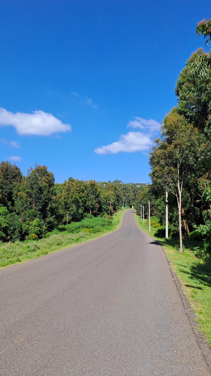 DaviesKinanga's tweet photo. 📍Kiamariga-Chaka Road, Nyeri https://t.co/bebpB6DzDv
