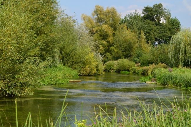 💧Chalk streams are harmed by taking too much water out, and putting too much wastewater in. We’re calling on <a href="/Ofwat/">Ofwat</a> to ensure that #chalkstreams get a fair deal when they give final approval to Water Company Business Plans on 19th December. We’ve joined with 14 other