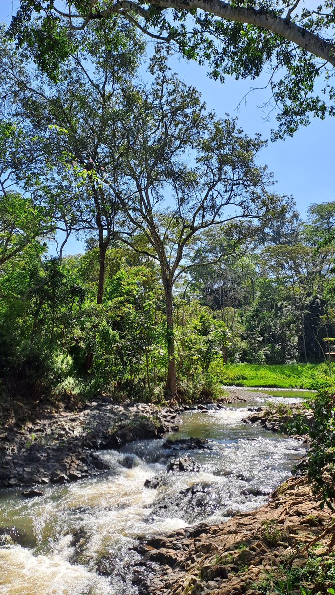 DaviesKinanga's tweet photo. 📍Kiamariga-Chaka Road, Nyeri https://t.co/bebpB6DzDv