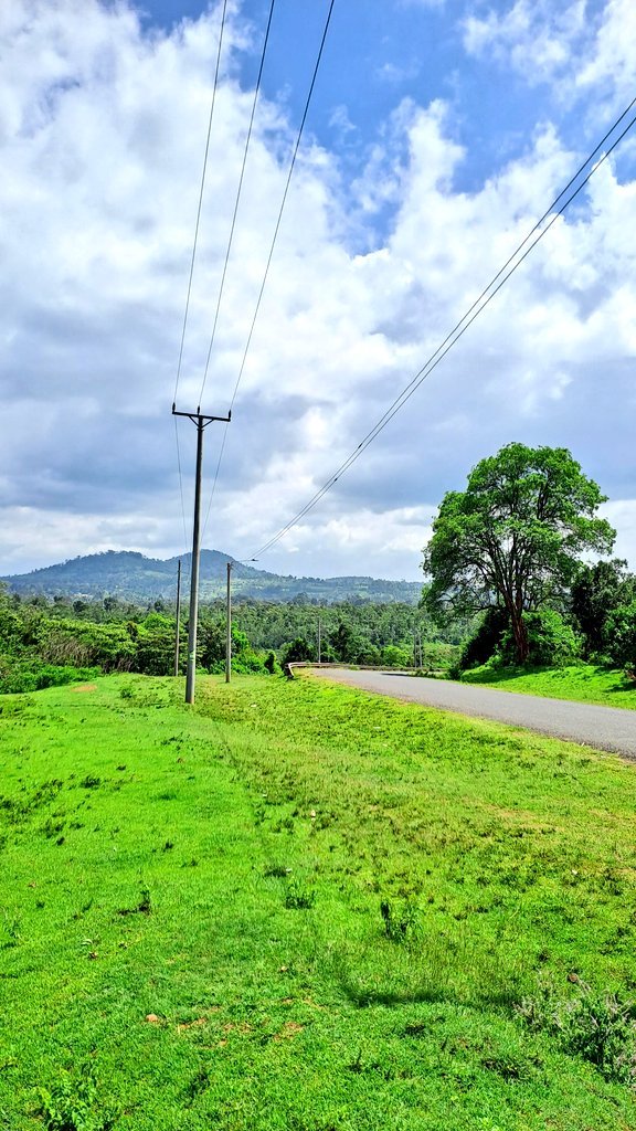 DaviesKinanga's tweet photo. 📍Kiamariga-Chaka Road, Nyeri https://t.co/bebpB6DzDv