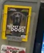 buttonspamma's tweet photo. @FightMate 'secret life of dogs' https://t.co/9Ek6maDdv7