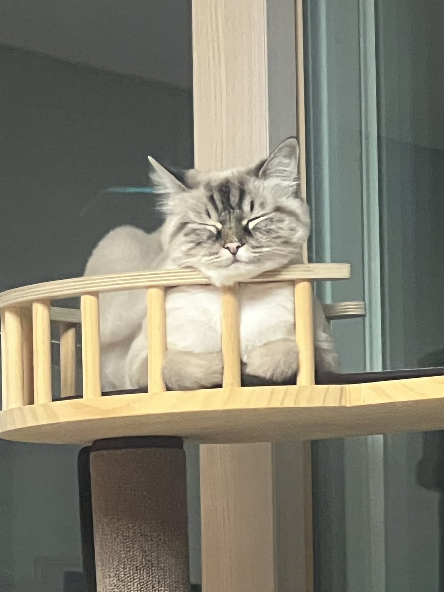 [FANCAFE]
🐰Hi~
Are you all doing well!?
These days I was thinking about you alot, and worried about MinRacles too..
Everything is fine.. But I think protecting yourself is the most important~! Okay~?? Don’t catch a cold too!
Dress warmly if you have to go out! Our love wins