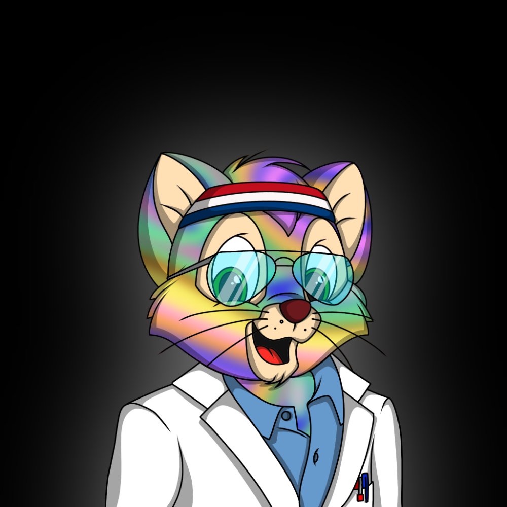 Meow City tweet media
