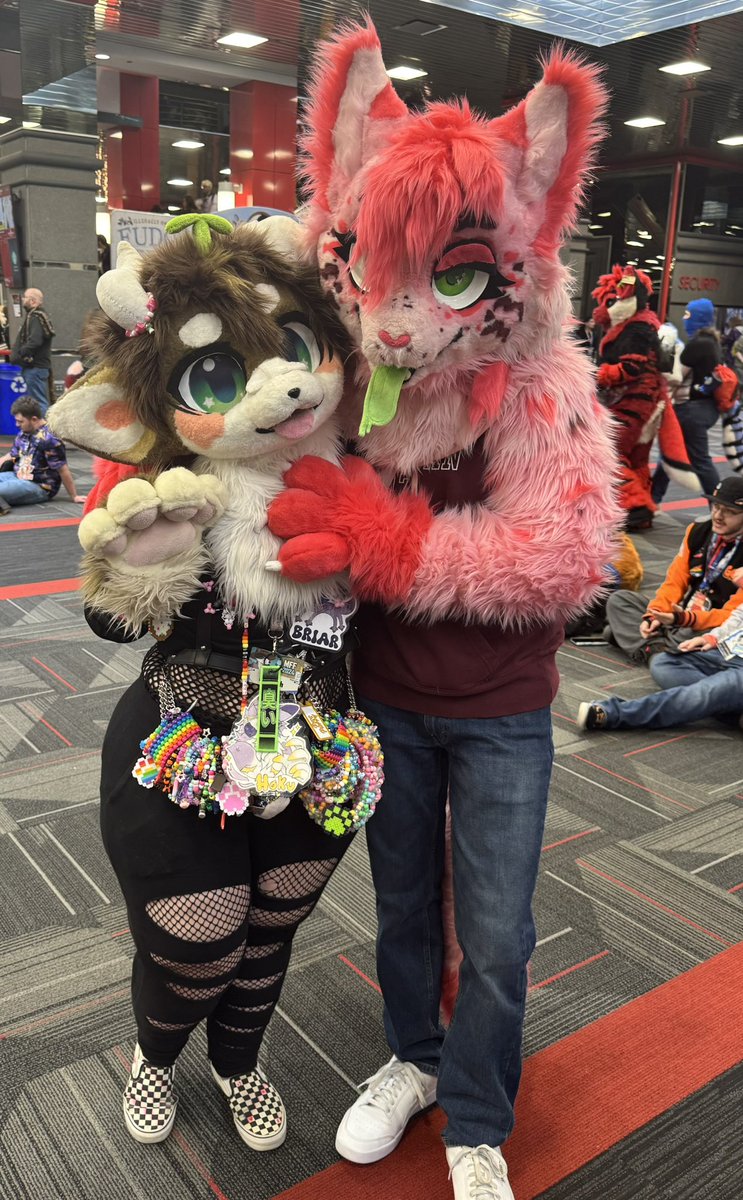 puppyxbite's tweet image. GOODBYE MFF I LOVED YOU SO MUCH