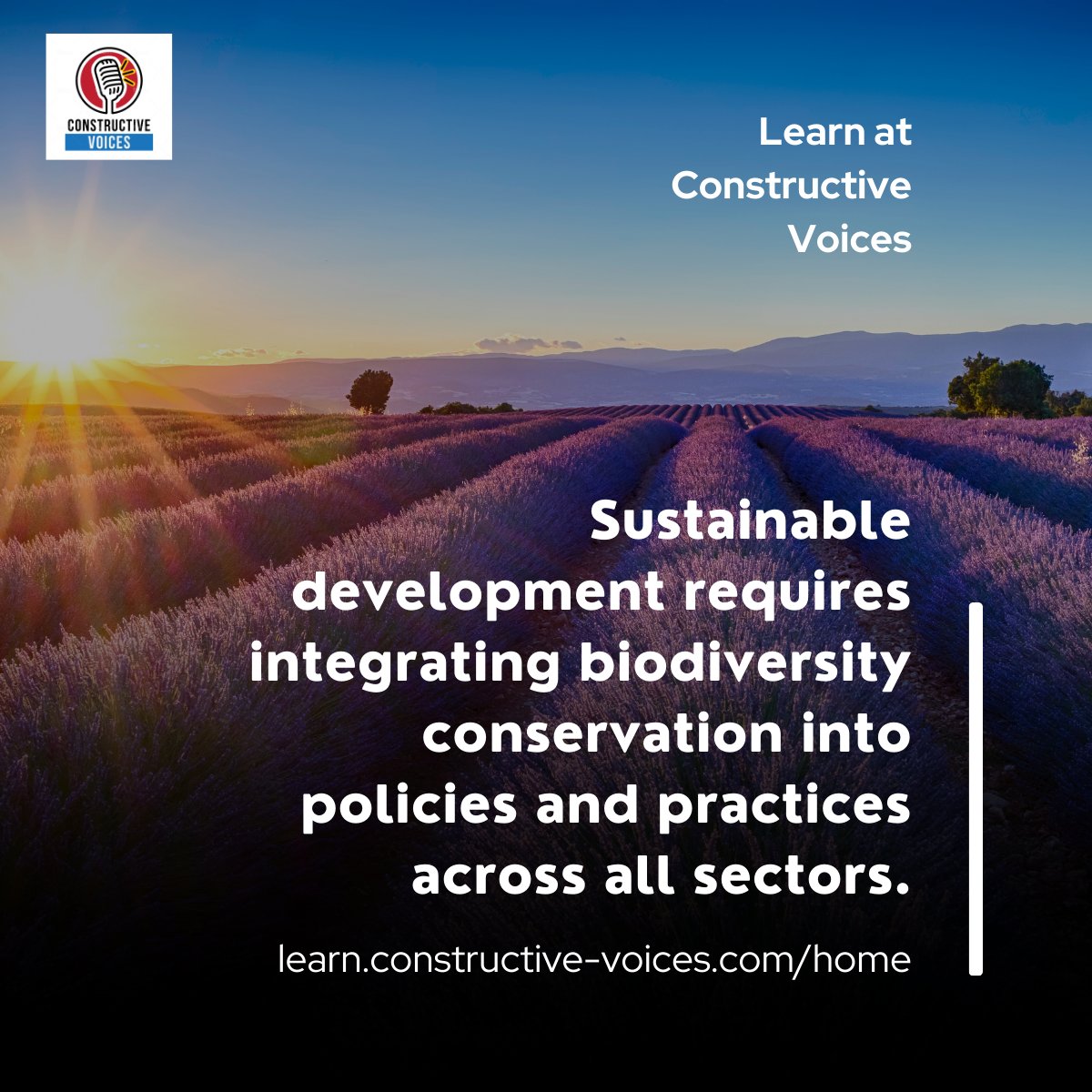 "Sustainable development requires integrating biodiversity conservation into policies and practices across all sectors." #biodiversity #biodiversitynetgain #training - learn.constructive-voices.com/home/
