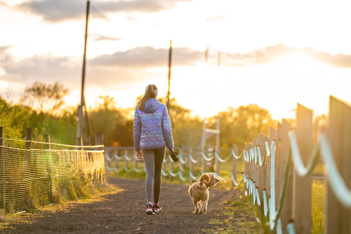 Moy Valley Resources tweet media