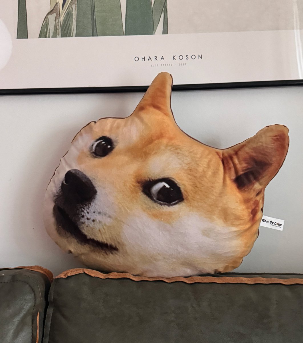 Wow By Doge tweet media