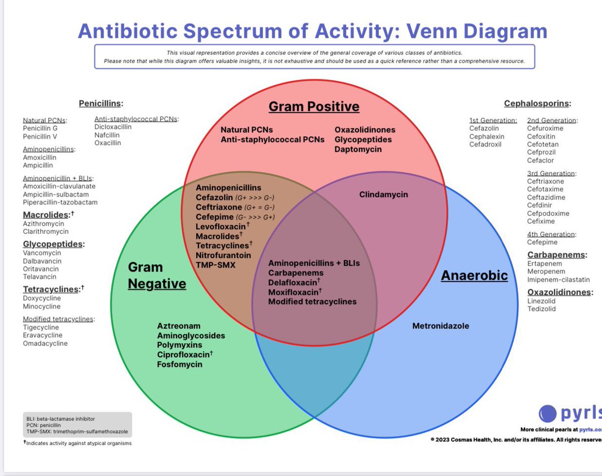Antibiotic Spectrum of Activity 💊
#Venn_Diagram 

🩸🩸🩸
#MedEd #MedX #Diagnosis