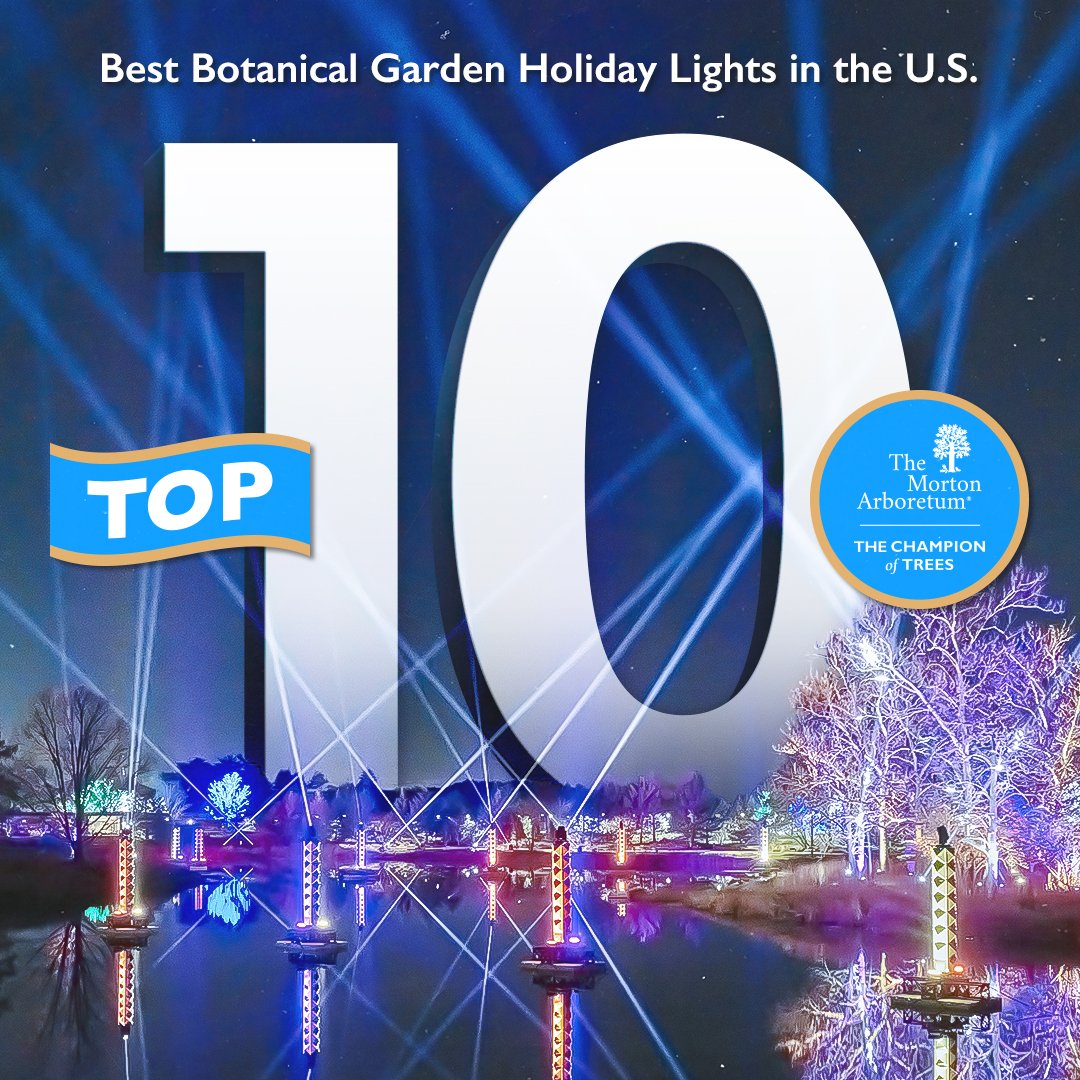 The results are in! Illumination: Tree Lights at The Morton Arboretum made <a href="/USATODAY/">USA TODAY</a> <a href="/10Best/">USA TODAY 10Best</a>’s 2024 Readers' Choice Awards top 10 list for “Best Botanical Garden Holiday Lights.” Illumination is the only holiday light show in Illinois to make the top 10! Thank YOU for helping the