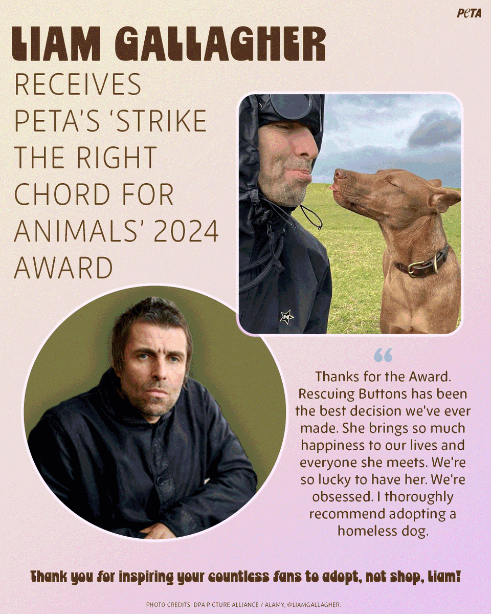 PETAUK's tweet photo. In the midst of an animal homelessness crisis, @liamgallagher opened up his heart and home to sweet rescue dog Buttons and we couldn’t be more grateful🐶💘 https://t.co/2z2lcKFhYC