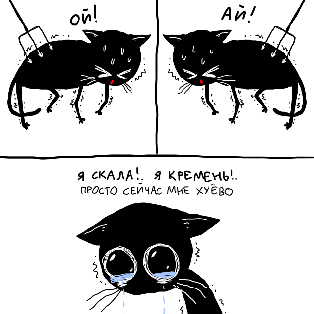 wmascat's tweet photo. героически переношу удары судьбы .. https://t.co/IHp69o2Iky