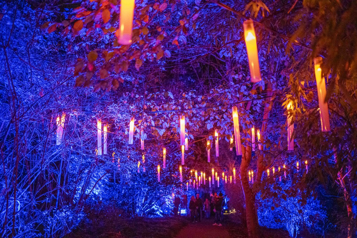 #ChristmasAtTheBotanics is well underway - and we're just getting started!

This week, we're holding a second Quiet Night session for anyone wishing to visit without a high volume of people.

⏰4pm Wednesday. Tickets are on a first come, first served basis rbge.cc/CATB