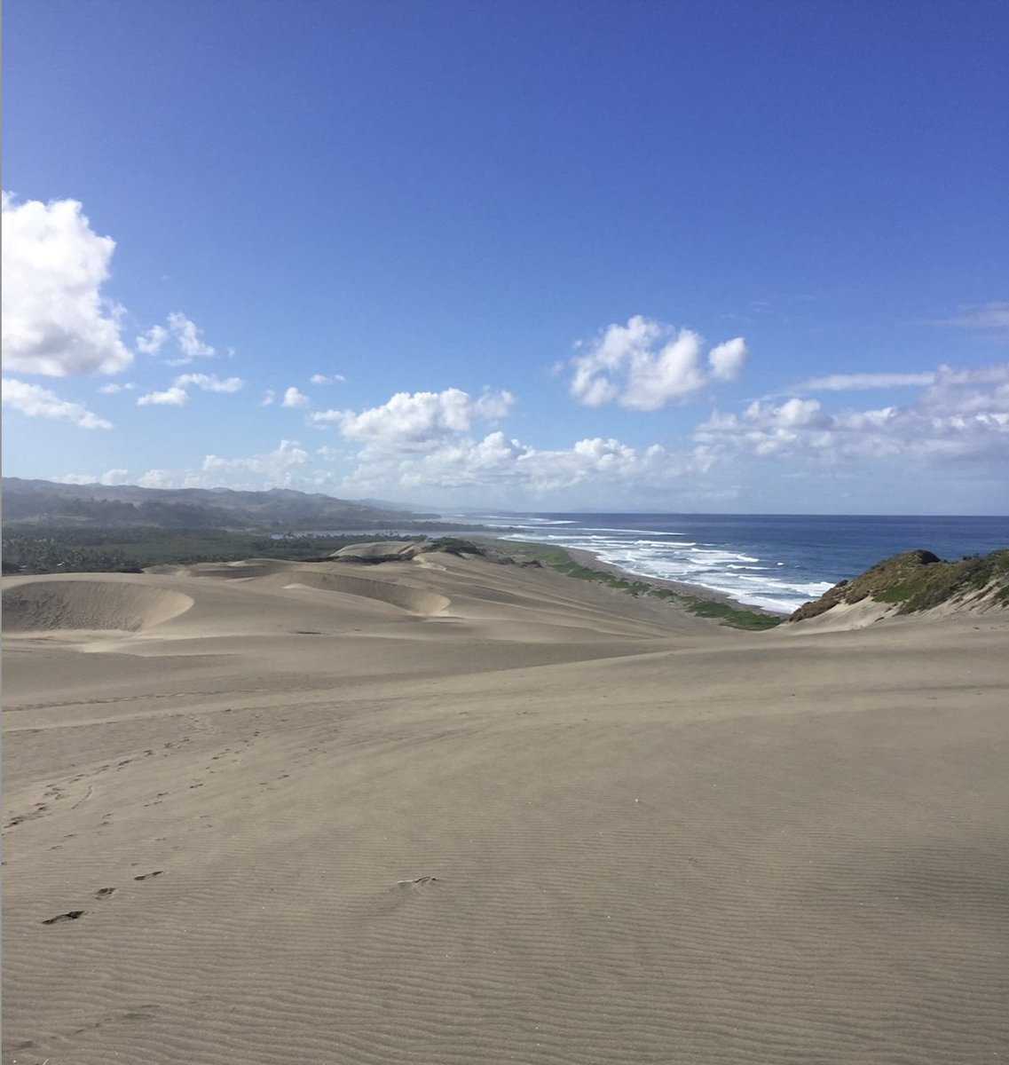 PŪNGAO ⚡️🍯 tweet media