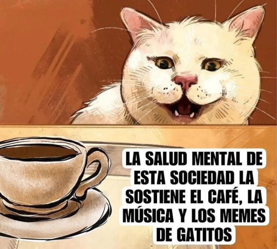 HappiestGirlMX's tweet photo. #SendMemes https://t.co/KCqBCDLe1B
