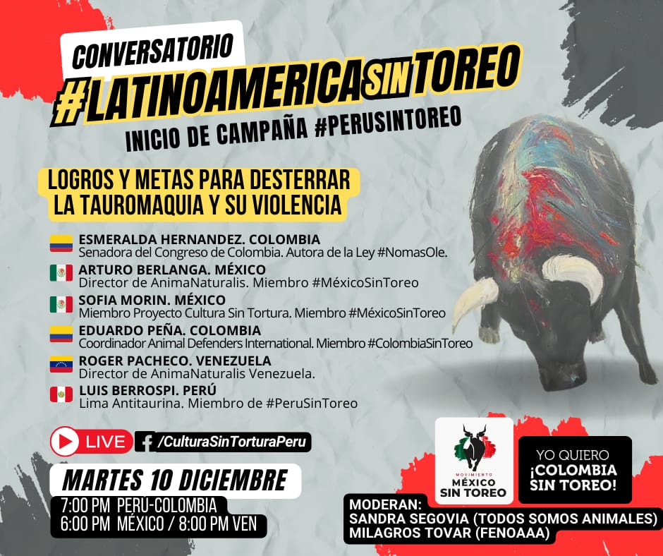 DIA INTERNACIONAL POR LOS DERECHOS DE LOS ANIMALES
#LatinoamericaSinToreo 
Inicio de #PeruSinToreo

📒 MARTES 10 DICIEMBRE:
🕖7:00 PM Perú-Colombia
🕕6:00 PM México
🕗8:00 PM Venezuela
Transmisión:
Facebook.com/CulturaSinTort…
