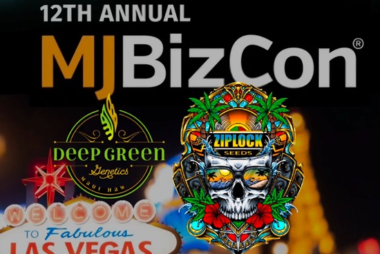 MjBizWire's tweet photo. Deep Green Genetics Showcased World-Class Breeders at MJBizCon 2024 in Las Vegas

https://t.co/CFBbf6NxSb https://t.co/r1T7nnkr4W